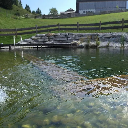 Hochhalt Huette アプテナウ