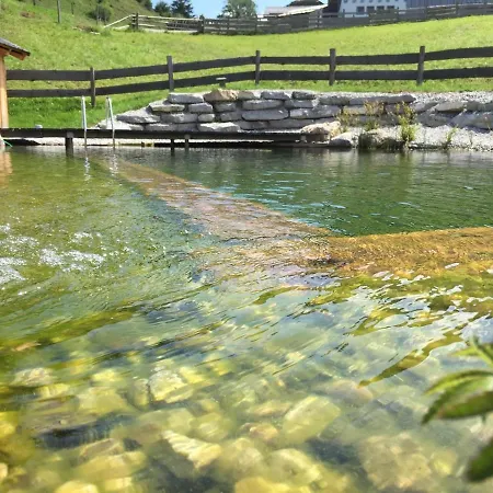 Dağ evi Hochhalt Huette Abtenau